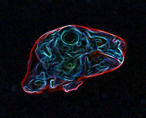 blood neon blood neon